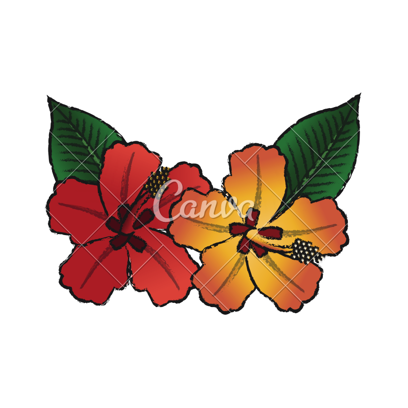 800x800 Tropical Flowers Sketch - Tropical Flower Sketch