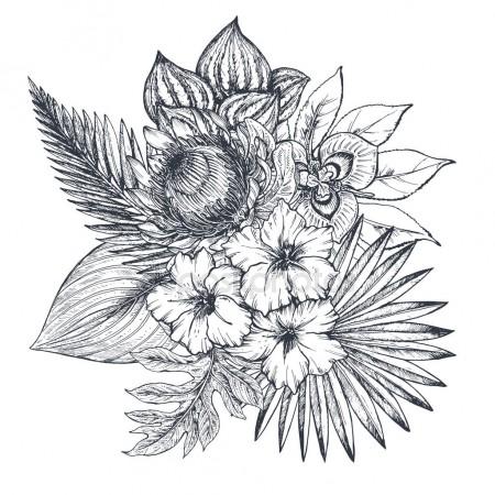 450x450 Drawn Plant Tropical Flower 3409802 - Tropical Flower Sketch