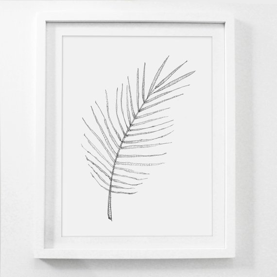 570x570 Palm Leaf Sketch Palm Leaf Drawing Hand Drawn Pencil Etsy - Tropical Leaf Sketch