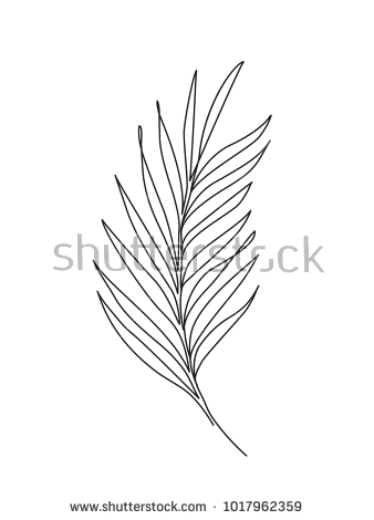 Tropical Leaf Sketch at PaintingValley.com | Explore collection of ...