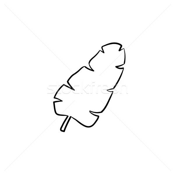 600x600 Tropical Palm Leaf Hand Drawn Sketch Icon. Vector Illustration - Tropical Leaf Sketch