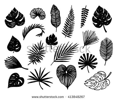450x386 Drawn Foliage Tropical - Tropical Leaves Sketch
