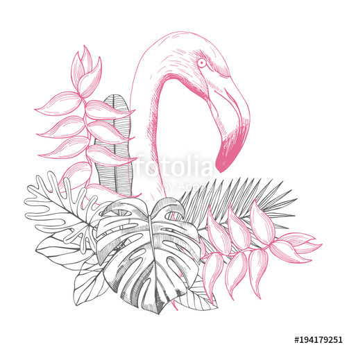 500x500 Flamingos And Tropical Leaves With Flowers. Vector Sketch - Tropical Leaves Sketch