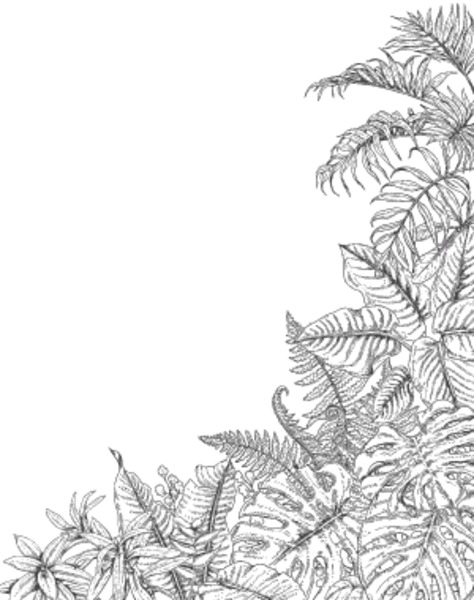 474x600 Hand Drawn Branches And Leaves Of Tropical Plants. Corner - Tropical Leaves Sketch