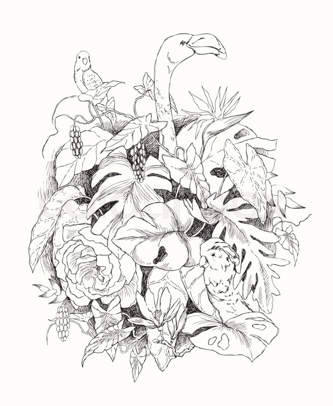 655x800 Hand Drawn Branches And Leaves Of Tropical Plants. Monochrome - Tropical Leaves Sketch