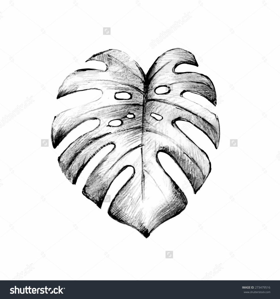 960x1024 Collection Of Banana Leaf Drawing High Quality, Free - Tropical Leaves Sketch