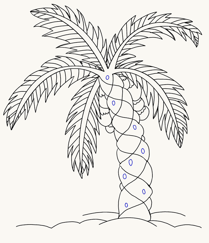 680x790 How To Draw A Palm Tree Easy Drawing Guides - Tropical Leaves Sketch
