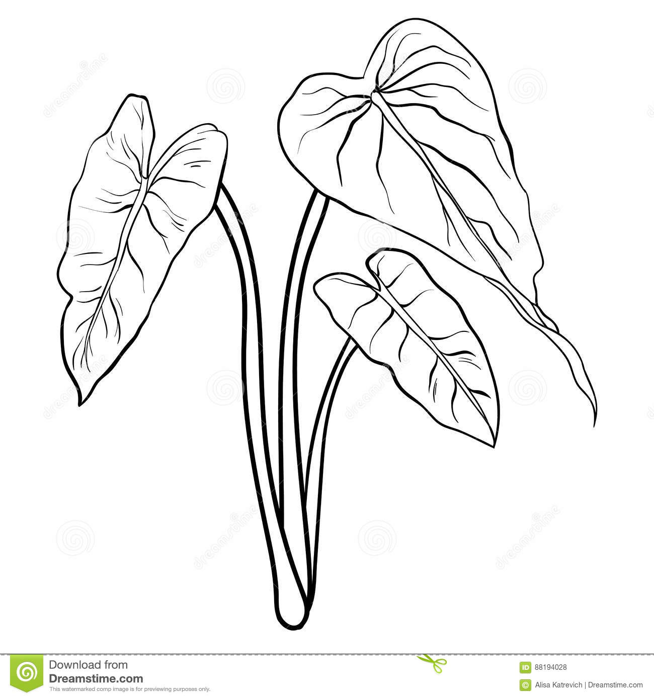 25+ Best Looking For Simple Jungle Leaves Drawing | Barnes Family