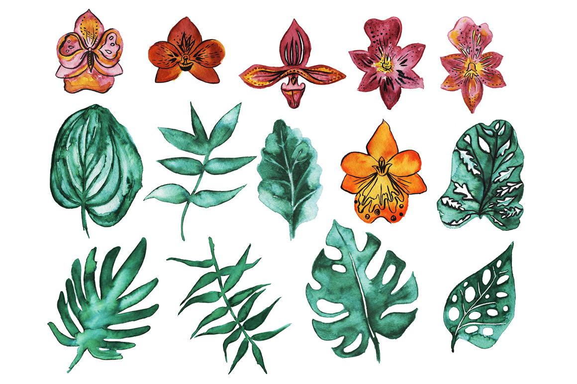 1160x772 Tropical Leaves And Orchid Watercolor Sketch Elements Set. By - Tropical Leaves Sketch