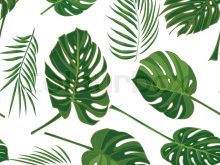 220x165 Drawing Palm Leaves - Tropical Leaves Sketch