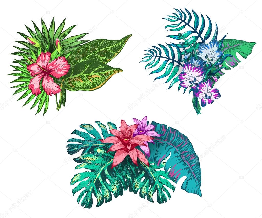 1024x853 Gallery Tropical Flower Sketch, - Tropical Sketch