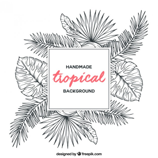 626x626 Sketches Tropical Plants Background Vector Free Download - Tropical Sketch