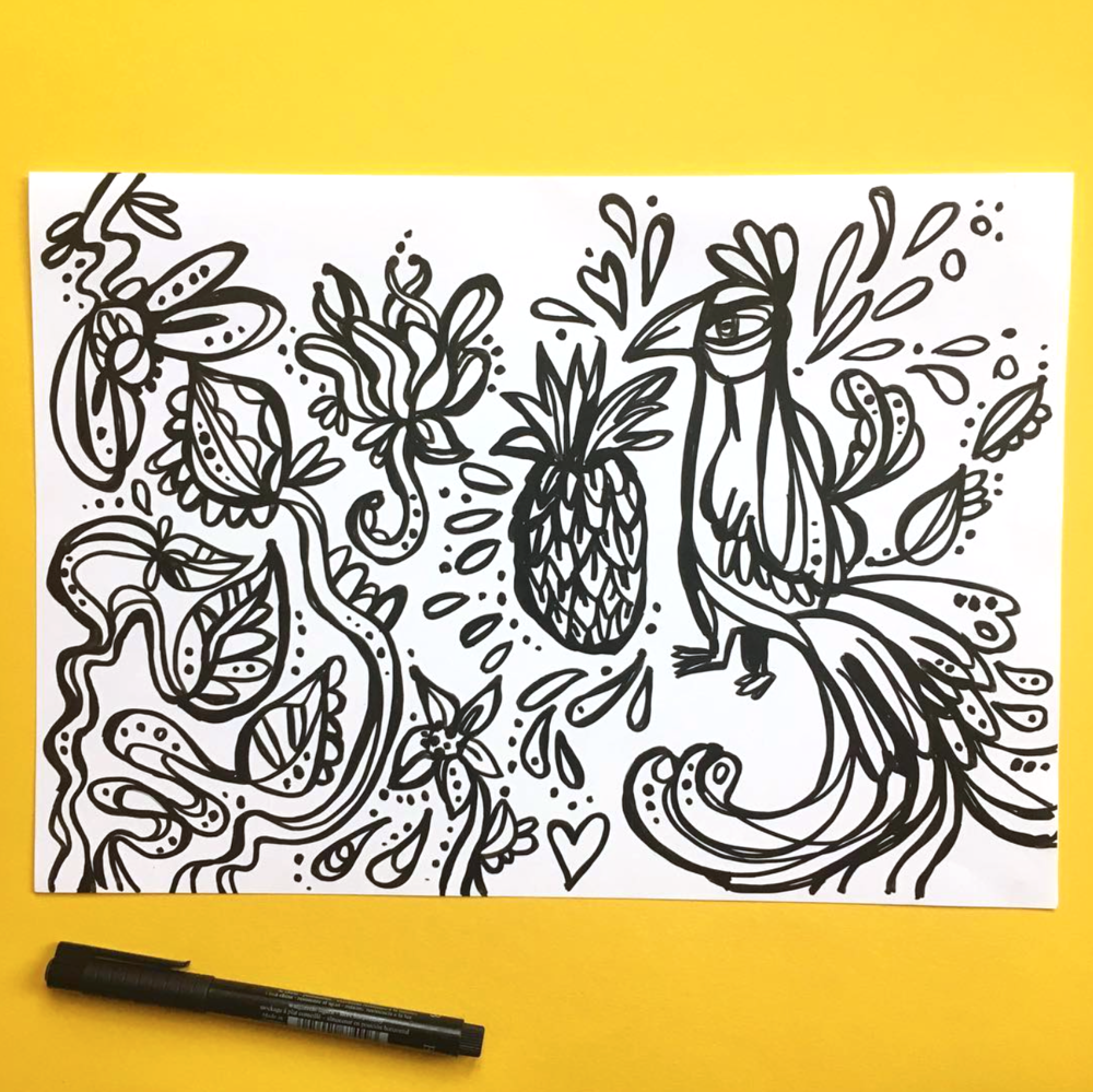 1000x999 Tropical Sketch - Tropical Sketch