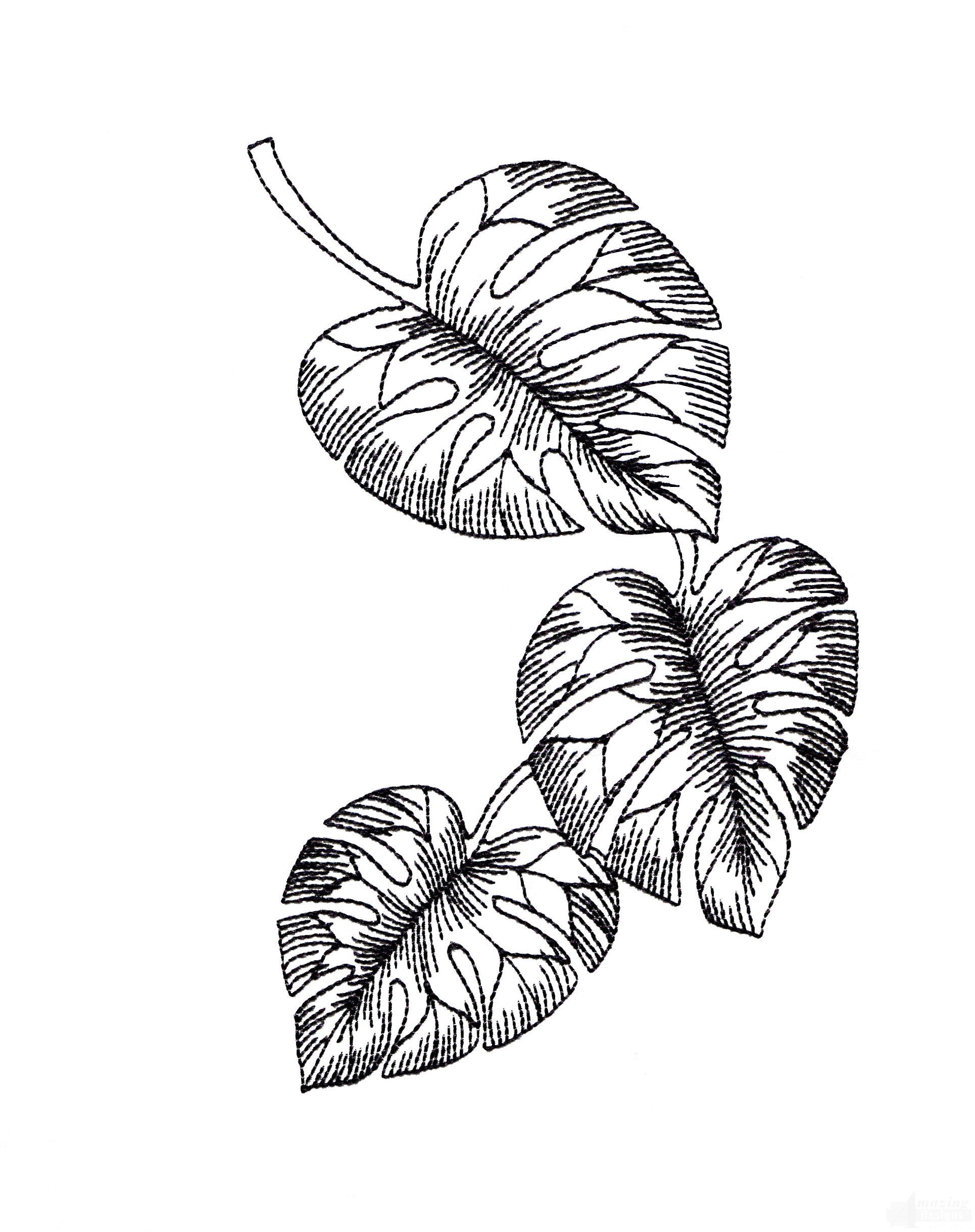 1930x2439 Bot422 Tropical Floral Sketch Embroidery Design - Tropical Sketch