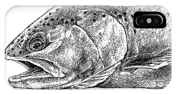 592x316 Sketch - Trout Sketch