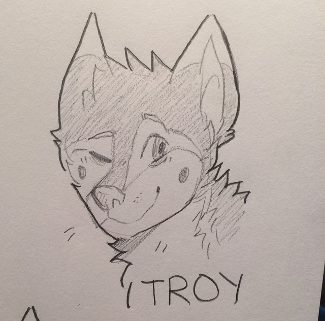 640x632 Troy Sketch 12 By Cattrash - Troy Sketch