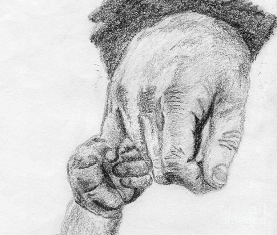 900x761 Trust Drawing By Annemeet Hasidi Van Der Leij - Trust Sketch