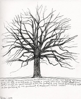 325x398 Tree Sketch.01 Blog (Contemplating The Moon) - Try Sketch