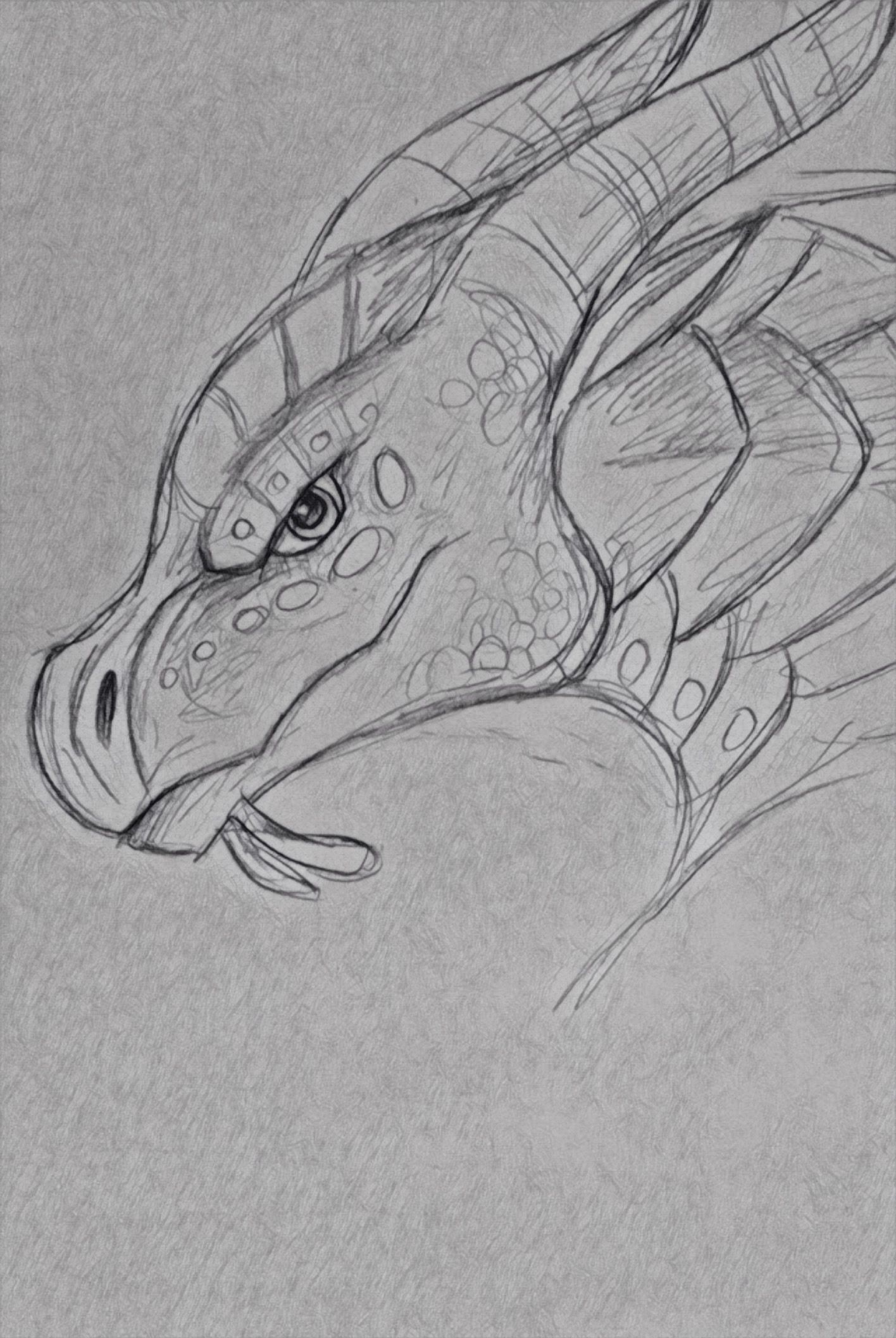 1416x2112 Tsunami Wings Of Fire Dragons - Tsunami Sketch