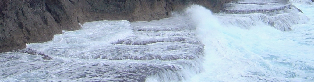 1031x269 Tsunami Disasterassistance.gov - Tsunami Sketch