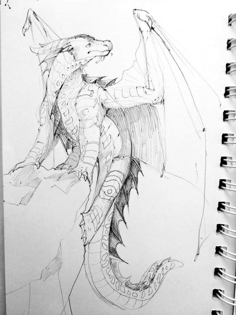 768x1024 Tsunami 0 Wings Of Fire Amino - Tsunami Sketch