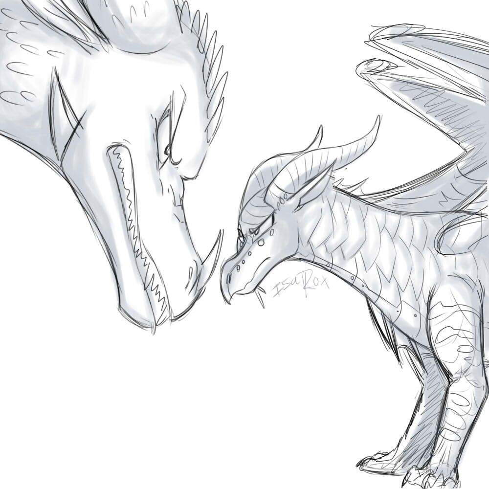 1000x1000 Tsunami Vs Kestrel Sketch Wings Of Fire Amino - Tsunami Sketch