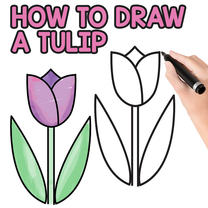 700x700 How To Draw A Tulip For Kids - Tulip Flower Sketch