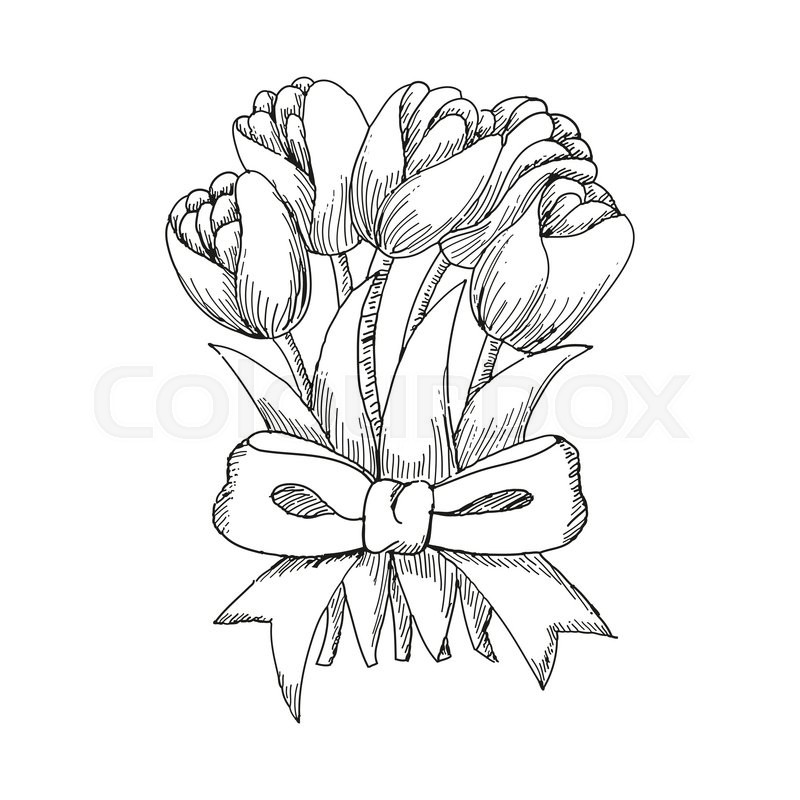 800x800 Hand Drawn Bouquet Of Tulips Tied Up By A Ribbon, Cute Doodling - Tulip Sketch