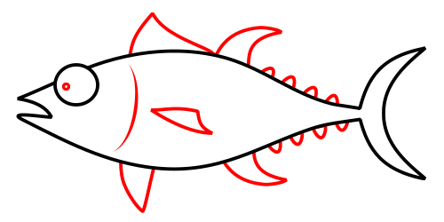 500x250 Drawing A Cartoon Tuna - Tuna Fish Sketch