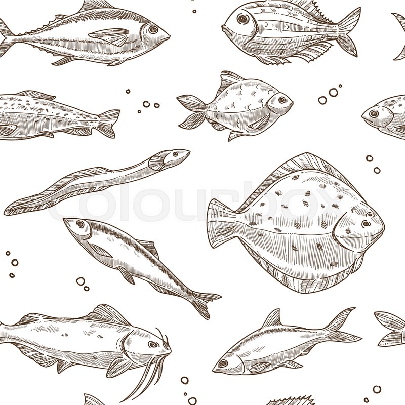 800x800 Fish Sketch Pattern Background. Vector Seamless Design Of River - Tuna Sketch