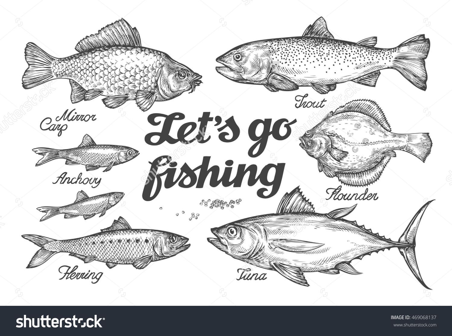 1500x1113 Fishing. Hand Drawn Vector Fish. Sketch Trout, Carp, Tuna, Herring - Tuna Sketch