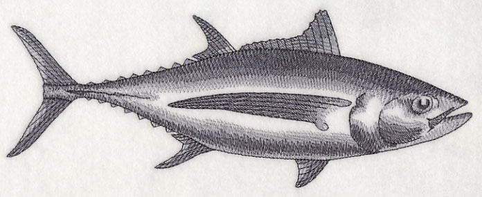 696x285 Machine Embroidery Designs - Tuna Sketch
