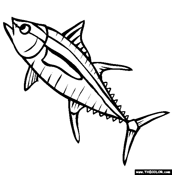 554x565 Tuna Clipart Black And White - Tuna Sketch