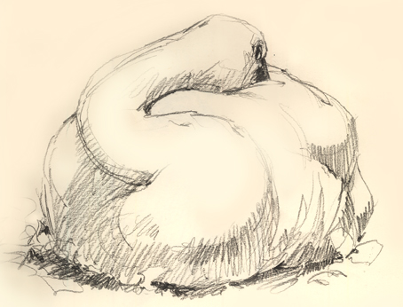 454x346 Sketch Therapy What I Drew - Tundra Sketch