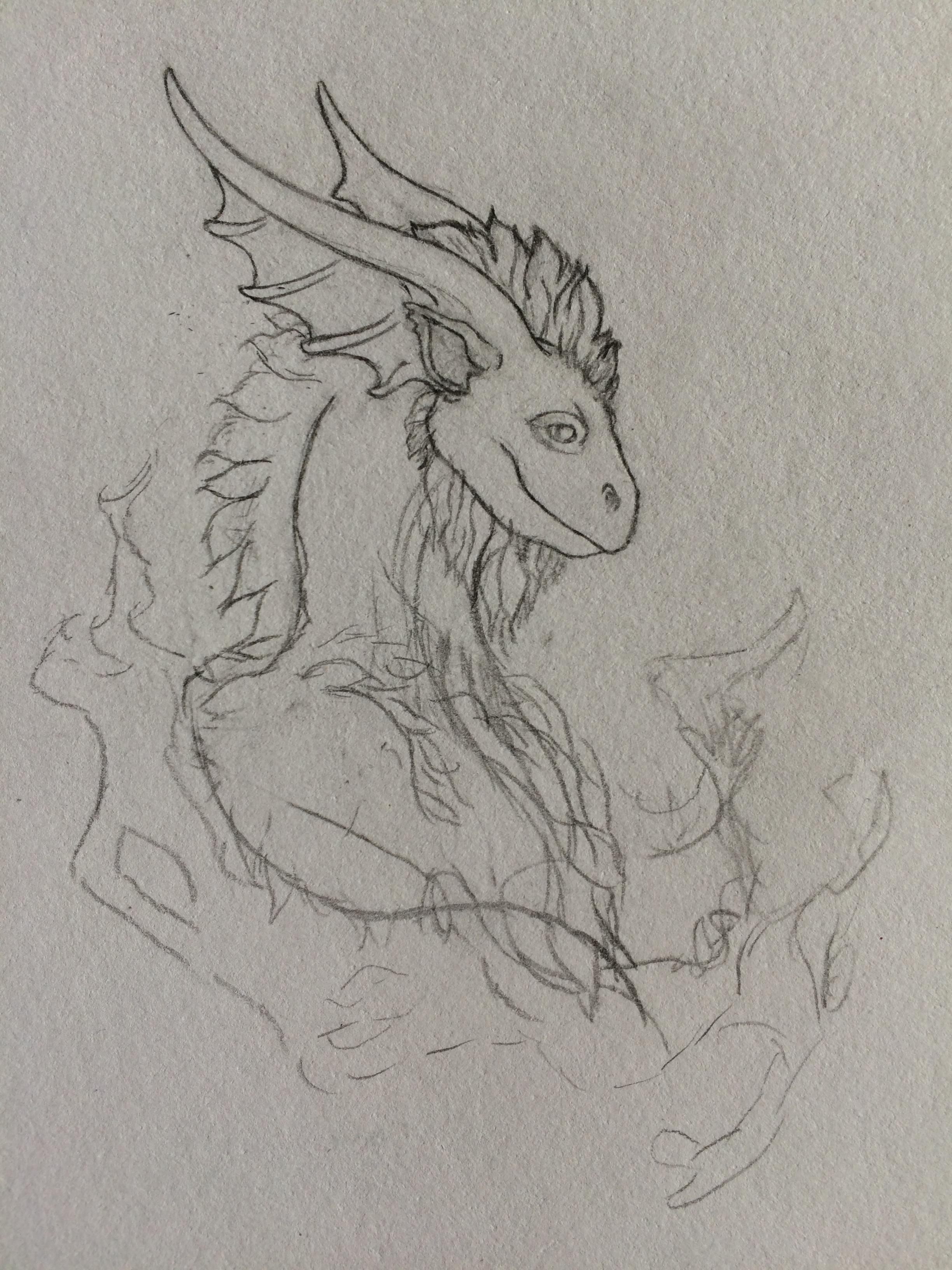 2448x3264 Tundra Bust Adopt Interest Check Adoptables Flight Rising - Tundra Sketch
