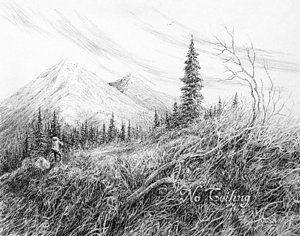 300x236 Tundra Drawings Fine Art America - Tundra Sketch