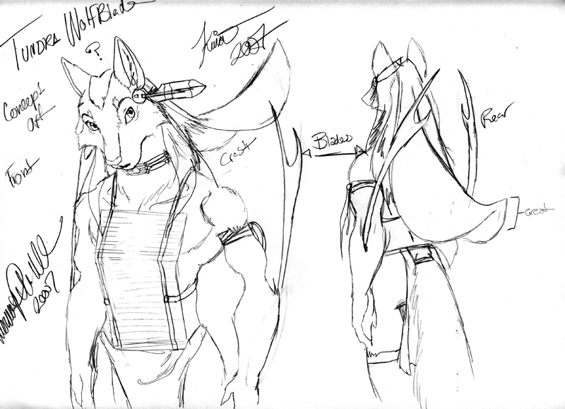 800x580 Tundra Wolfblade Concept Sketch By Pumaconcolor - Tundra Sketch