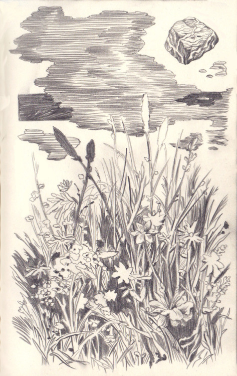 473x750 Back On Tumblr The Unforgiving Tundra - Tundra Sketch