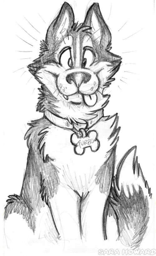 500x817 Turbo Pencil Sketch By Matrices - Turbo Sketch