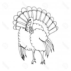 300x300 Photostock Vector Hand Draw A Turkey In The Style Of A Sketch On A - Turkey Sketch