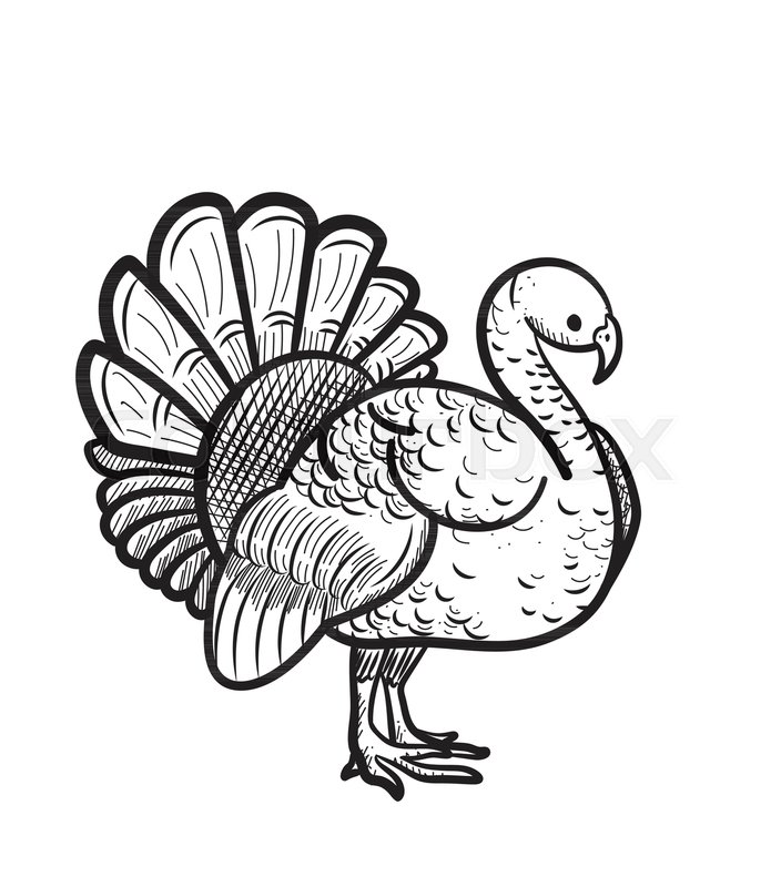 704x800 Thanksgiving Day Turkey Sketch Doodle Icon For Web, Mobile And - Turkey Sketch