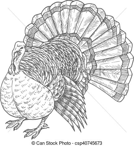 432x470 Thanksgiving Turkey Vector Sketch Isolated Icon. Thanksgiving - Turkey Sketch