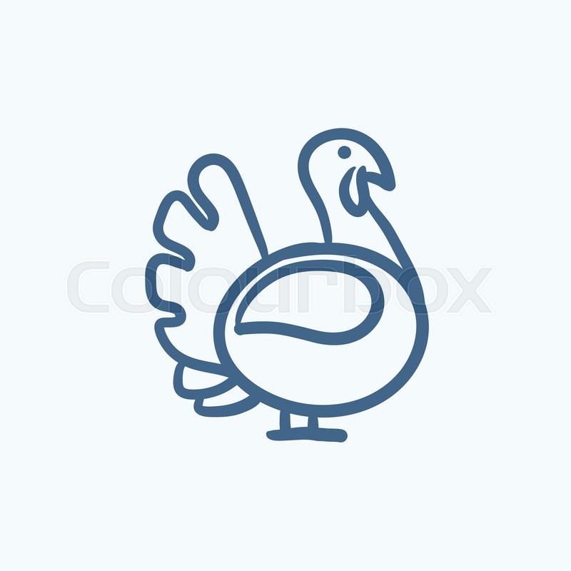 800x800 Turkey Sketch Icon For Web, Mobile And Infographics. Hand Drawn - Turkey Sketch