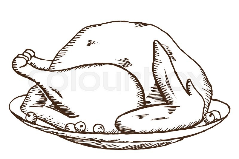 800x533 Vector Hand Draw Doodle Sketch Thanksgiving Fried Turkey Stock - Turkey Sketch