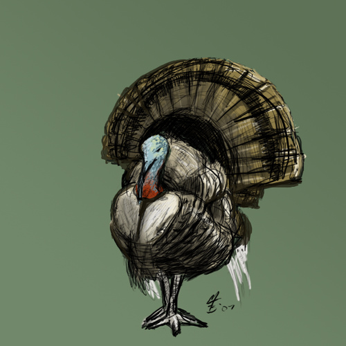 500x500 Art Turkey Sketch Borkweb - Turkey Sketch