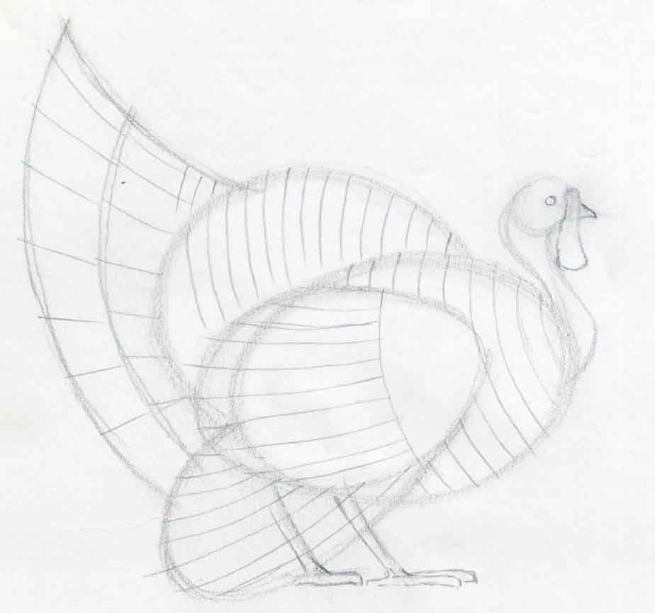 924x865 How To Draw A Turkey In Pencil - Turkey Sketch