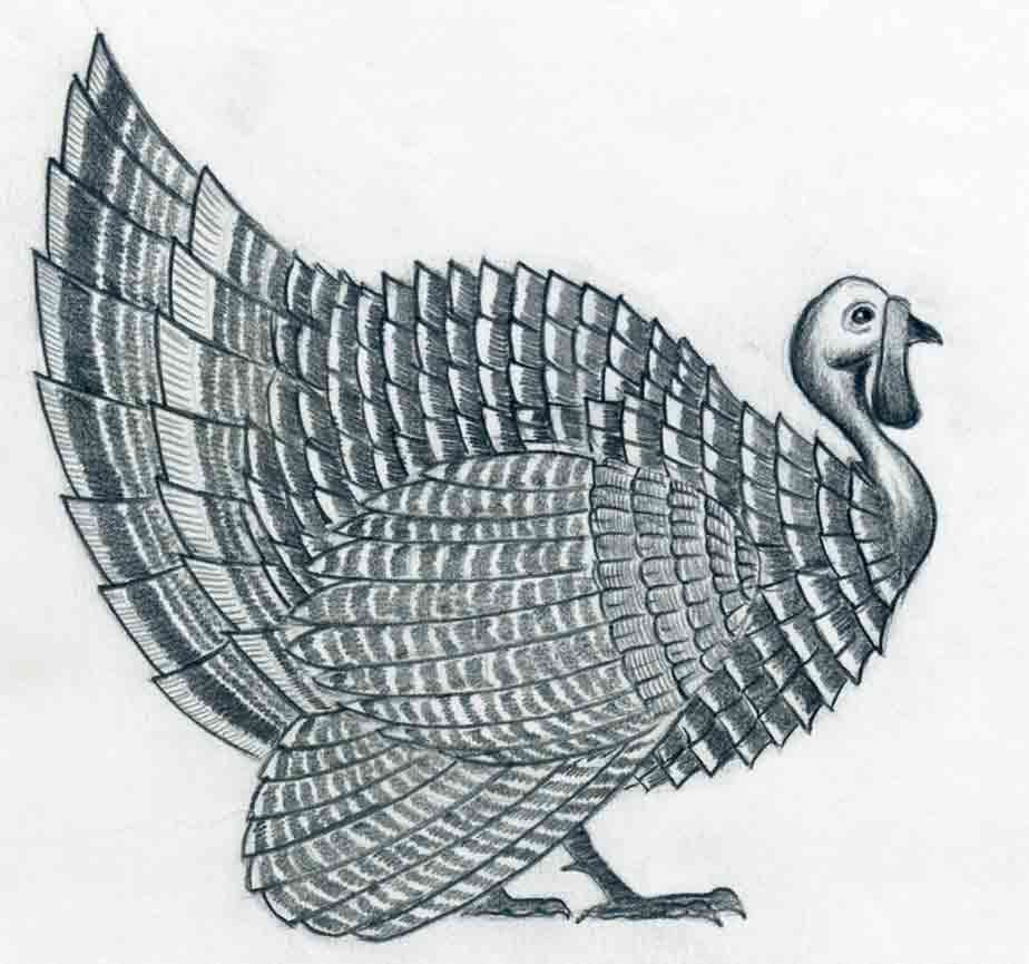 924x865 How To Draw A Turkey In Pencil - Turkey Sketch Simple
