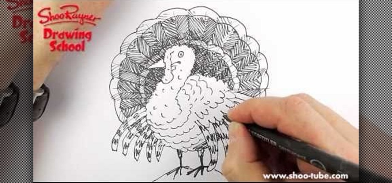 1280x600 How To Draw A Simple Sketch Of A Thanksgiving Turkey Drawing - Turkey Sketch Simple
