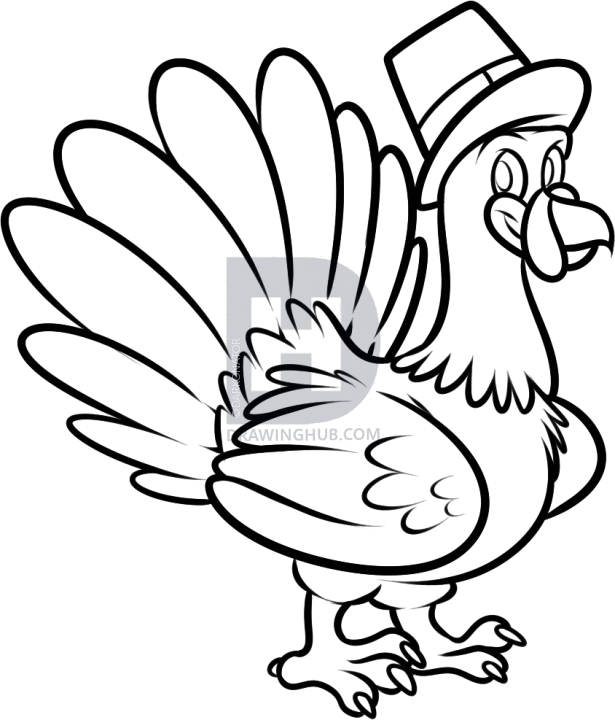 615x720 How To Draw A Thanksgiving Turkey, Step By Step, Drawing Guide, By - Turkey Sketch Simple