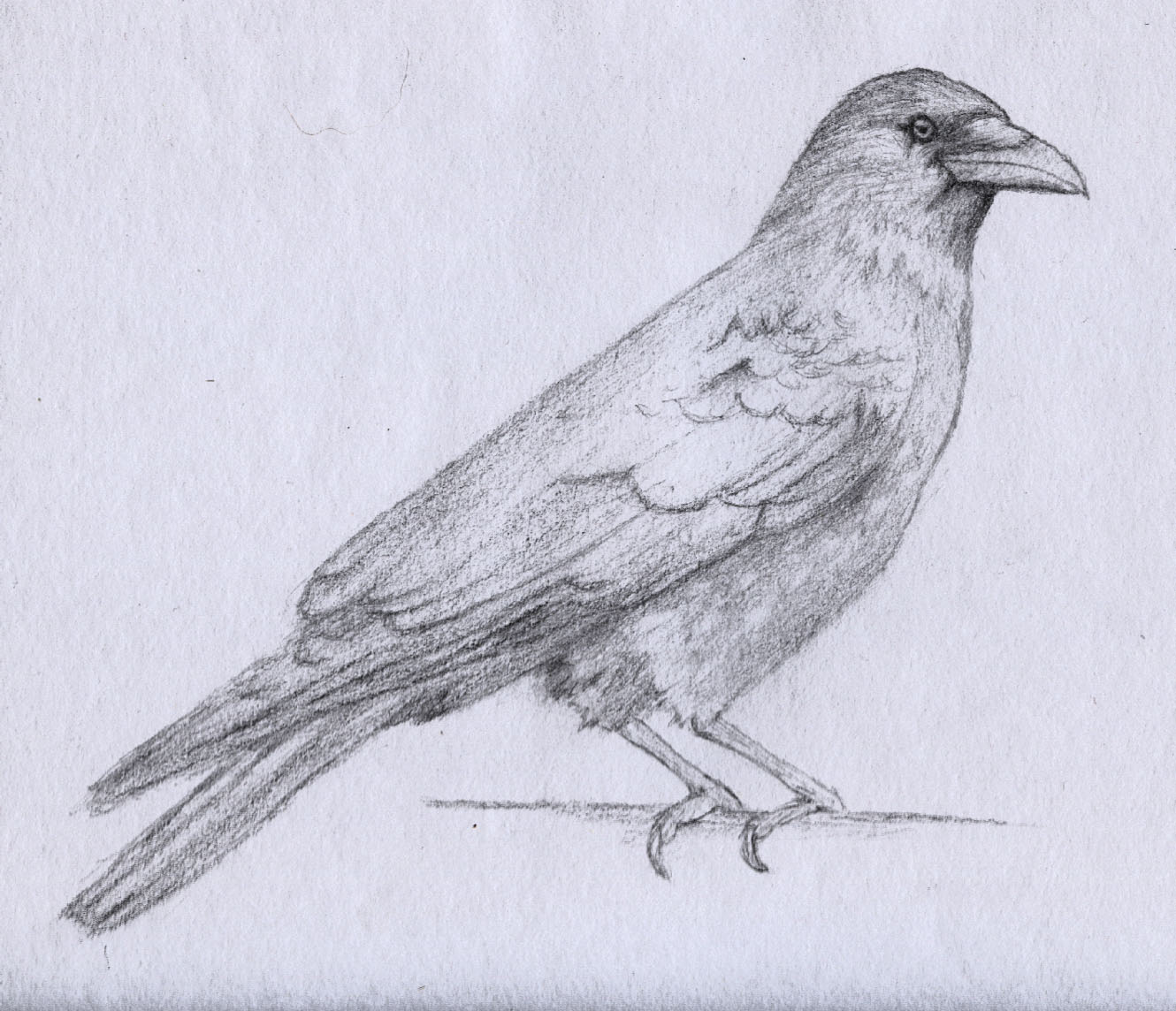 1330x1144 Turning My Drawing Into A Painting! - Turn My Photo Into A Sketch